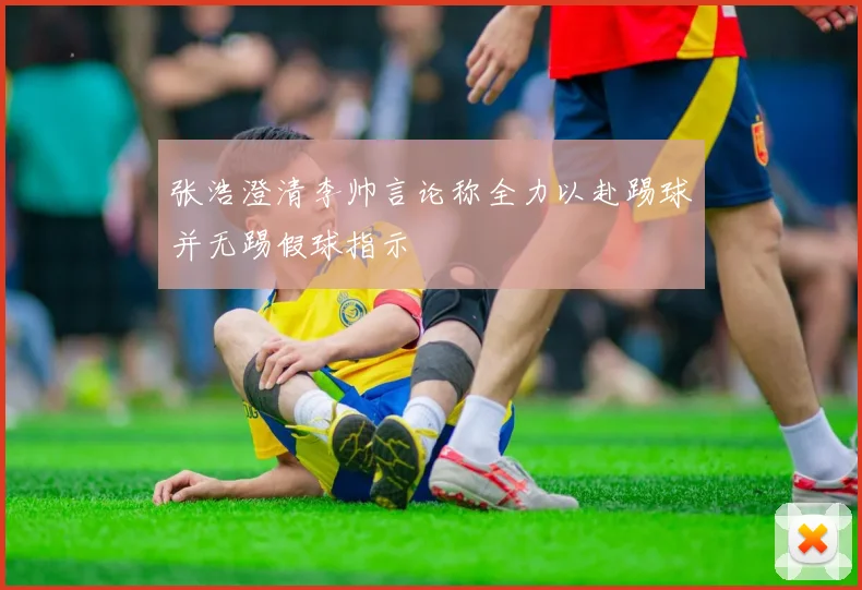 张浩澄清李帅言论称全力以赴踢球并无踢假球指示